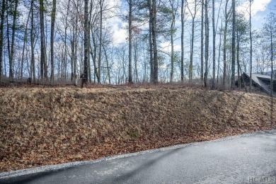 Picture your future home, positioned at 3,800 feet in elevation on Natures Walk At Chinquapin in North Carolina - for sale on GolfHomes.com, golf home, golf lot