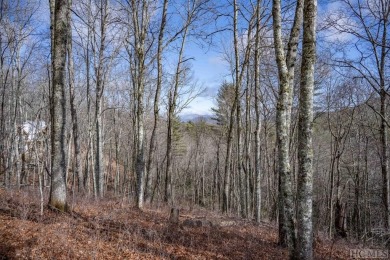 Picture your future home, positioned at 3,800 feet in elevation on Natures Walk At Chinquapin in North Carolina - for sale on GolfHomes.com, golf home, golf lot