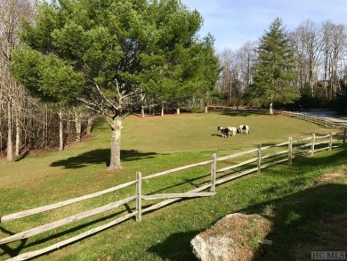 Picture your future home, positioned at 3,800 feet in elevation on Natures Walk At Chinquapin in North Carolina - for sale on GolfHomes.com, golf home, golf lot