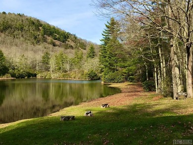 Picture your future home, positioned at 3,800 feet in elevation on Natures Walk At Chinquapin in North Carolina - for sale on GolfHomes.com, golf home, golf lot