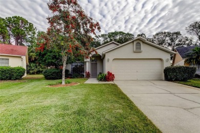 Situated in the picturesque, highly desired Glen Oaks on Countryway Golf Course in Florida - for sale on GolfHomes.com, golf home, golf lot