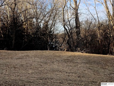 Patricia Scarlett, M: , patty.scarlett,   - Build your dream on Lake Ridge Country Club in Nebraska - for sale on GolfHomes.com, golf home, golf lot