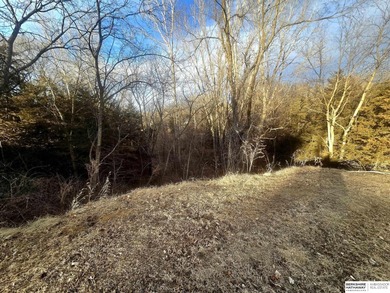 Patricia Scarlett, M: , patty.scarlett,   - Build your dream on Lake Ridge Country Club in Nebraska - for sale on GolfHomes.com, golf home, golf lot