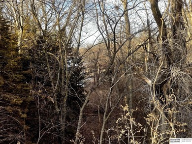 Patricia Scarlett, M: , patty.scarlett,   - Build your dream on Lake Ridge Country Club in Nebraska - for sale on GolfHomes.com, golf home, golf lot