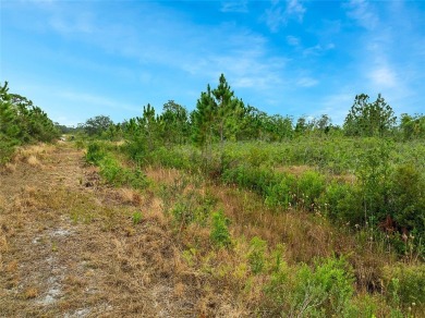 Build your dream home in Indian Lake Estates. Located on a 1/2 on Indian Lake Estates Golf and Country Club in Florida - for sale on GolfHomes.com, golf home, golf lot