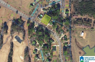 Build your dream home on this spacious 0.39-acre lot located in on The Robert Trent Jones Golf Trail At Silver Lake in Alabama - for sale on GolfHomes.com, golf home, golf lot
