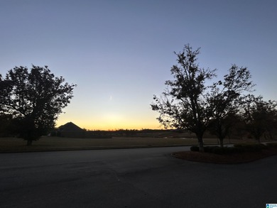 Build your dream home on this spacious 0.39-acre lot located in on The Robert Trent Jones Golf Trail At Silver Lake in Alabama - for sale on GolfHomes.com, golf home, golf lot