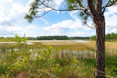Step onto this stunning contemporary 5B/4Full BA/3 car gar on PGA National Estates Golf Course in Florida - for sale on GolfHomes.com, golf home, golf lot