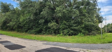 29 acre corner lot located in the well established community of on Citrus Springs Country Club in Florida - for sale on GolfHomes.com, golf home, golf lot