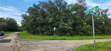 29 acre corner lot located in the well established community of on Citrus Springs Country Club in Florida - for sale on GolfHomes.com, golf home, golf lot