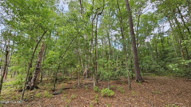 Rare 1.2 Acres in a Premier Location, Close to Everything, yet on Carolina Shores Golf Course in North Carolina - for sale on GolfHomes.com, golf home, golf lot