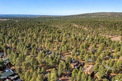 Backing National Forest w/ tall pines in Pinetop Country Club on Pinetop Lakes Golf and Country Club in Arizona - for sale on GolfHomes.com, golf home, golf lot