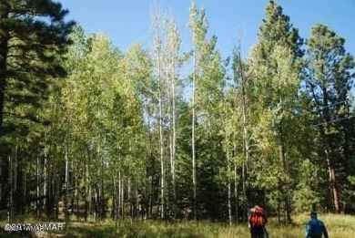 Backing National Forest w/ tall pines in Pinetop Country Club on Pinetop Lakes Golf and Country Club in Arizona - for sale on GolfHomes.com, golf home, golf lot