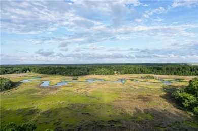 Gorgeous .69-acre lot w/108 ft of pristine marsh front offers on Sapelo Hammock Golf Club in Georgia - for sale on GolfHomes.com, golf home, golf lot