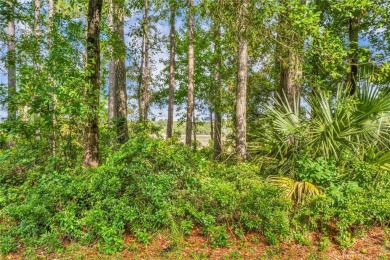 Gorgeous .69-acre lot w/108 ft of pristine marsh front offers on Sapelo Hammock Golf Club in Georgia - for sale on GolfHomes.com, golf home, golf lot