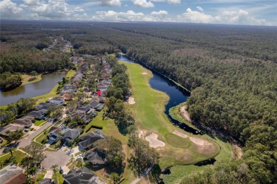 UPDATED AND MOVE-IN READY! This beautifully maintained one-story on The Eagles Golf Course and Club in Florida - for sale on GolfHomes.com, golf home, golf lot