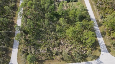 Discover an incredible opportunity to build your dream property on Sabal Trace Golf and Country Club in Florida - for sale on GolfHomes.com, golf home, golf lot