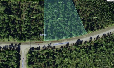 Come build your forever home on this 1.63 acre lot located in on Indian Lake Estates Golf and Country Club in Florida - for sale on GolfHomes.com, golf home, golf lot
