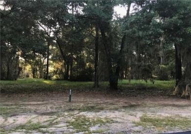Gated community in Coastal Georgia.This lot is located within on Sapelo Hammock Golf Club in Georgia - for sale on GolfHomes.com, golf home, golf lot