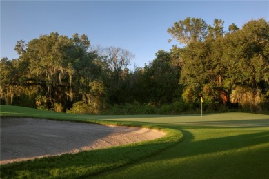Beautiful building lot at Mission Resort + Club, (formerly on Mission Inn Resort and Club in Florida - for sale on GolfHomes.com, golf home, golf lot
