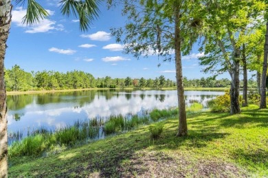 Welcome to an unparalleled luxury experience in The Concession on The Concession Golf Club in Florida - for sale on GolfHomes.com, golf home, golf lot