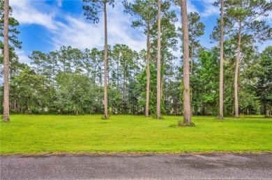 Welcome to Georgia's magnificent coastal river  marsh on Sapelo Hammock Golf Club in Georgia - for sale on GolfHomes.com, golf home, golf lot