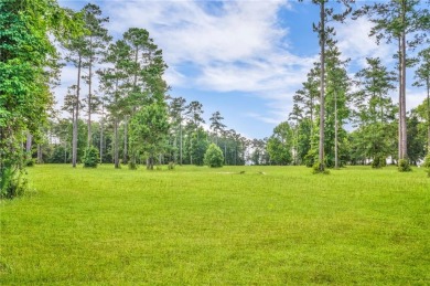Welcome to Georgia's magnificent coastal river  marsh on Sapelo Hammock Golf Club in Georgia - for sale on GolfHomes.com, golf home, golf lot