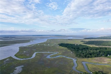 Welcome to Georgia's magnificent coastal river  marsh on Sapelo Hammock Golf Club in Georgia - for sale on GolfHomes.com, golf home, golf lot