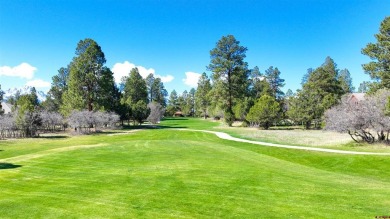 Chase K Girard, Ponderosa Real Estate The Source For Real Estate on The Divide Ranch and Club in Colorado - for sale on GolfHomes.com, golf home, golf lot