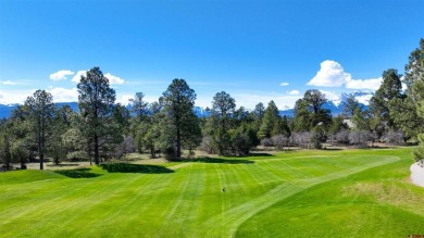 Chase K Girard, Ponderosa Real Estate The Source For Real Estate on The Divide Ranch and Club in Colorado - for sale on GolfHomes.com, golf home, golf lot