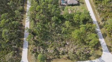Discover an incredible opportunity to build your dream property on Sabal Trace Golf and Country Club in Florida - for sale on GolfHomes.com, golf home, golf lot