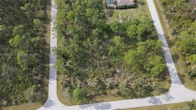 Discover an incredible opportunity to build your dream property on Sabal Trace Golf and Country Club in Florida - for sale on GolfHomes.com, golf home, golf lot