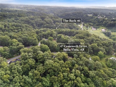 A BEAUTIFUL UPDATED 4BED/3 FULL BATH HOME.  2 LIVING AREAS / 2 on Bella Vista - Metfield Golf Complex and Country Club in Arkansas - for sale on GolfHomes.com, golf home, golf lot