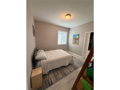 Stunning Lakefront Home in Beautiful Ave Maria, Florida 3 on Panther Run Golf Club in Florida - for sale on GolfHomes.com, golf home, golf lot