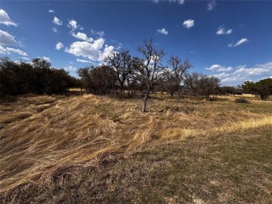 The lake is looking amazing! This lot is located on Safe Harbor on Hideout Golf Club and Resort  in Texas - for sale on GolfHomes.com, golf home, golf lot