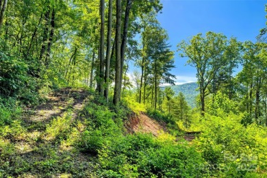 Premium Double Lot Opportunity with Long-Range Mountain Views - on Linville Falls Golf Club in North Carolina - for sale on GolfHomes.com, golf home, golf lot