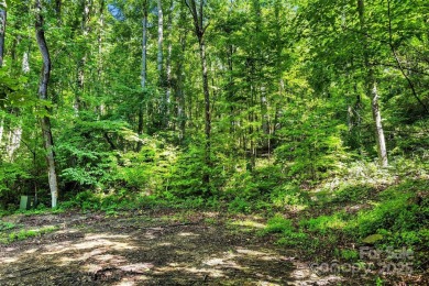 Premium Double Lot Opportunity with Long-Range Mountain Views - on Linville Falls Golf Club in North Carolina - for sale on GolfHomes.com, golf home, golf lot
