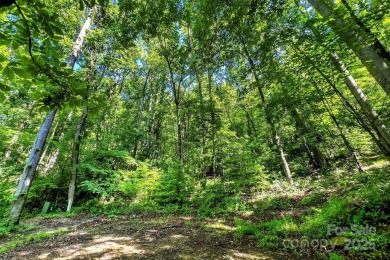 Premium Double Lot Opportunity with Long-Range Mountain Views - on Linville Falls Golf Club in North Carolina - for sale on GolfHomes.com, golf home, golf lot