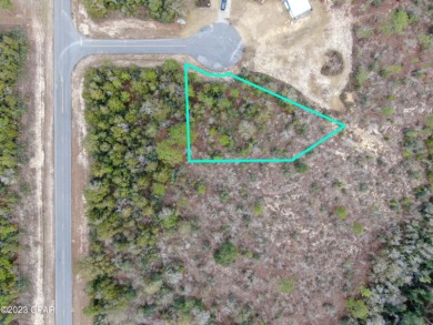 Very nice, large, cul-de-sac lot. Paved road access.  Across the on Sunny Hills Golf and Country Club in Florida - for sale on GolfHomes.com, golf home, golf lot