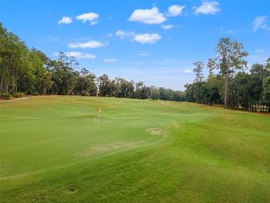 Rarely available FLAT lot on over 1/4 acre on the 4th green in on Southern Hills Plantation Club in Florida - for sale on GolfHomes.com, golf home, golf lot