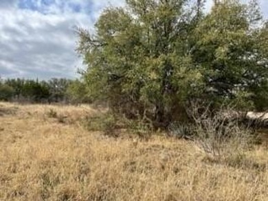 Come build your dream home on this 0.2 acre lot at the Hideout on Hideout Golf Club and Resort  in Texas - for sale on GolfHomes.com, golf home, golf lot