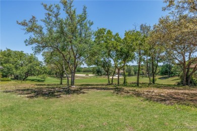 A RARE OPPORTUNITY TO LET YOUR IMAGINATION RUN WILD DESIGNING on Black Diamond Ranch Golf Course in Florida - for sale on GolfHomes.com, golf home, golf lot