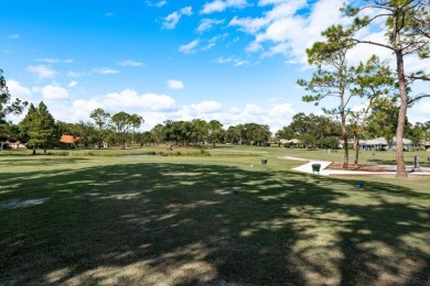 Live the Ultimate Florida Lifestyle in Highland Lakes, Pinellas on Highland Lakes Executive Golf Course in Florida - for sale on GolfHomes.com, golf home, golf lot
