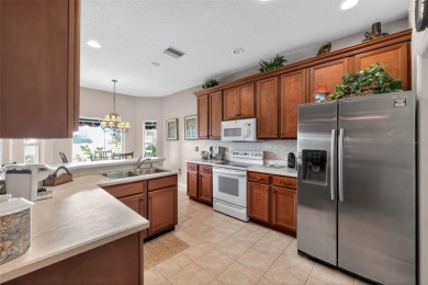 BREATHTAKING WATER VIEWS, & CDD BOND DEBT PAID OFF AT CLOSING! A on Lake Ashton Golf Club in Florida - for sale on GolfHomes.com, golf home, golf lot