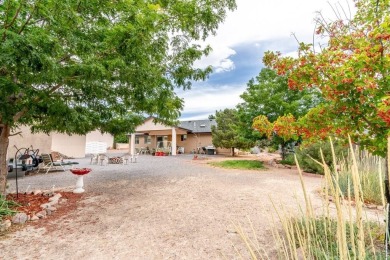 HUGE SHOP AND BONUS ROOM!! 6-Car + garage spaces!!! The HUGE on Desert Hawk At Pueblo West in Colorado - for sale on GolfHomes.com, golf home, golf lot