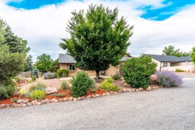 HUGE SHOP AND BONUS ROOM!! 6-Car + garage spaces!!! The HUGE on Desert Hawk At Pueblo West in Colorado - for sale on GolfHomes.com, golf home, golf lot