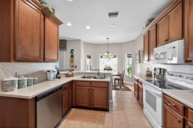BREATHTAKING WATER VIEWS, & CDD BOND DEBT PAID OFF AT CLOSING! A on Lake Ashton Golf Club in Florida - for sale on GolfHomes.com, golf home, golf lot