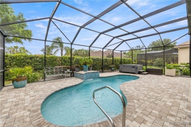 Imagine yourself in a beautiful relaxing Waterford Style Pool on Skyview At Terra Vista Golf and Country Club in Florida - for sale on GolfHomes.com, golf home, golf lot