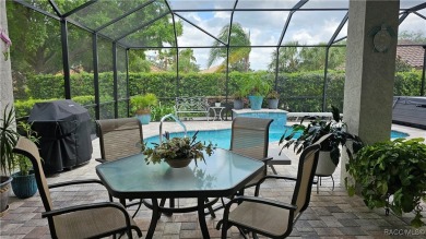 Imagine yourself in a beautiful relaxing Waterford Style Pool on Skyview At Terra Vista Golf and Country Club in Florida - for sale on GolfHomes.com, golf home, golf lot