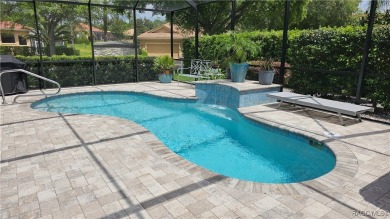 Imagine yourself in a beautiful relaxing Waterford Style Pool on Skyview At Terra Vista Golf and Country Club in Florida - for sale on GolfHomes.com, golf home, golf lot